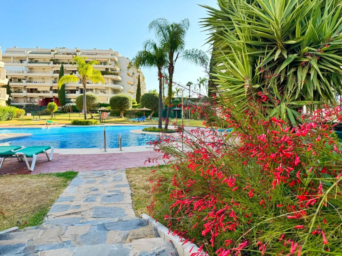 Guadalmina Alta, San Pedro de Alcántara